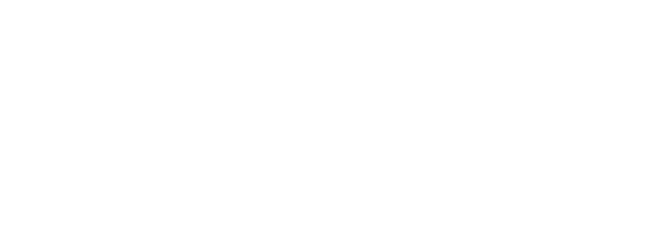 Langwieder Global Solutions